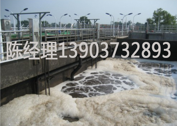 屠宰，養殖廢水處理